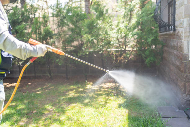 Best Lawn Pest Control  in Redmond, WA